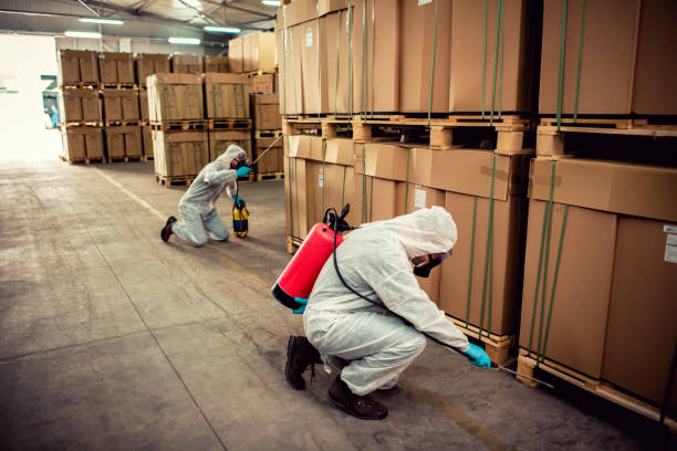 Best Pest Control Treatment  in Webb City, MO