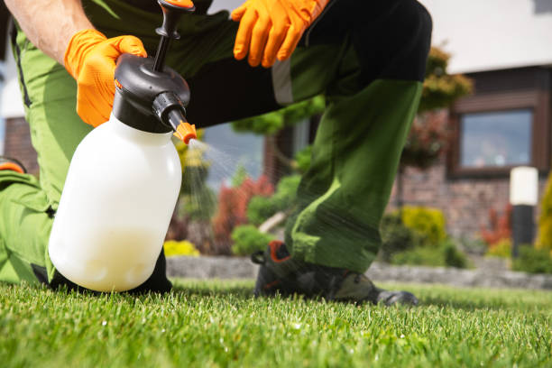 Best Bird Control  in Webb City, MO