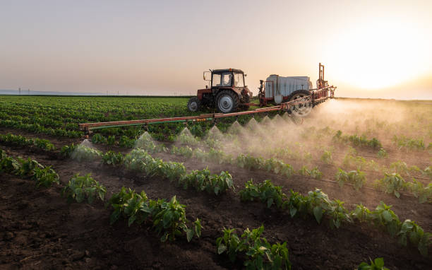 Professional Pest Control in Webb City, MO
