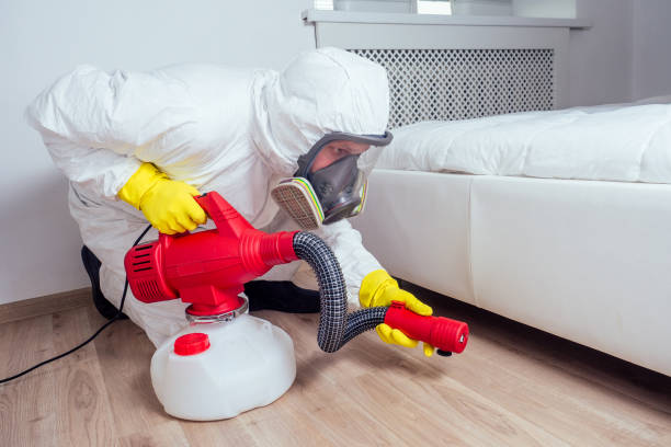 Best Pest Control Near Me in Webb City, MO