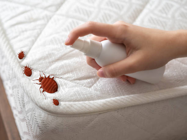 Best Exterminator Services  in Webb City, MO