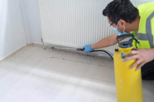 Best Pest Removal Services  in Webb City, MO