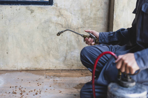 Best Exterminator Services  in Webb City, MO