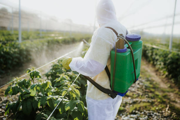 Best Cockroach Control Services  in Webb City, MO